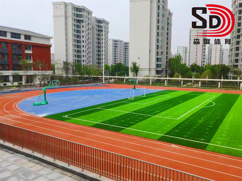 南阳市***初级中学 | 混合型跑道及草坪